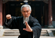 The Zhang Xiaoyao 张逍遥