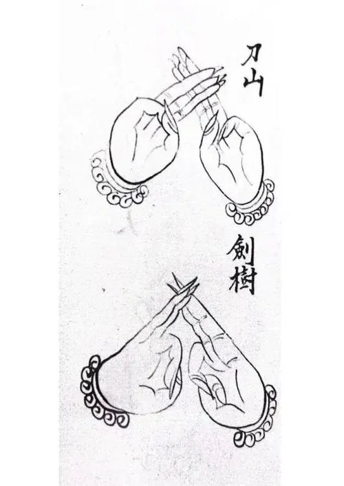 Taoist Hand Seals: The Mechanics of Dao Shan and Jian Shu Jue
