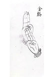 Taoist Hand Seals: The Jinqiao Jue 金桥诀