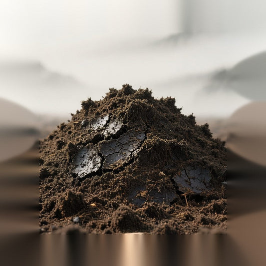 What Is the Omen of Dreaming of Soil?