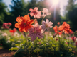 What does it mean to dream about flowers?