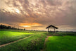 梦见田地是什么意思 — farmland dream interpretation illustration