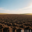 What Is the Omen of Dreaming of Ground?