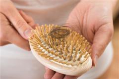 Dreaming of Hair Loss: What Does It Mean?: Five Elements Wood (木), mixed omen. Auspicious in spring, inauspicious in aut