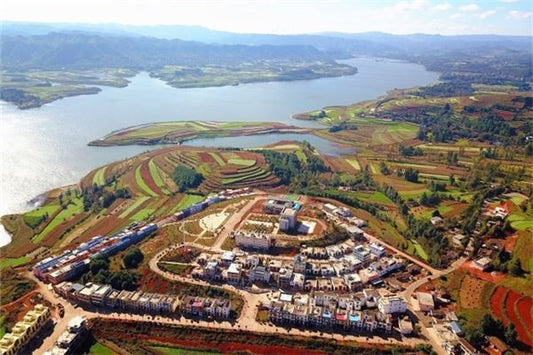 Dreaming of hometown people and events — Earth element dream, 梦见家乡的人和事