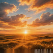 Dreaming of the Sun. Five Elements dream interpretation for longhumountain.com.