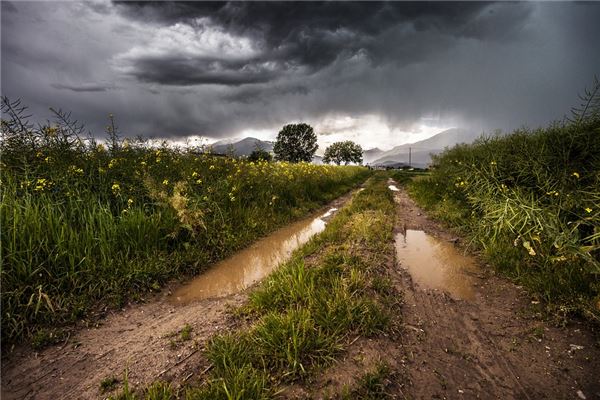 梦见跟人一起走泥泞路 — dreaming of walking a muddy road with others, Chinese dream interpretation