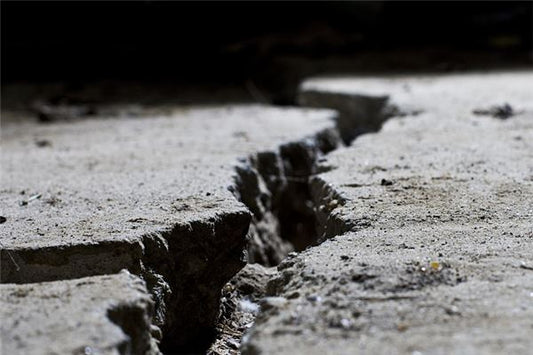 Omen - Dream of a Major Earthquake?