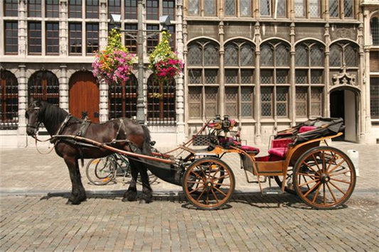 Married woman dreaming of riding a horse carriage - Earth element dream interpretation
