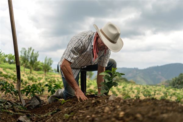 Woman dreaming of farming the land 女人夢見種地 — Earth element omen Zhou Gong dream interpretation